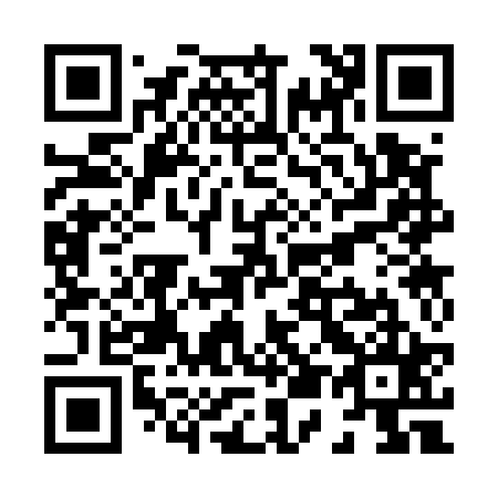 QR code for X53525