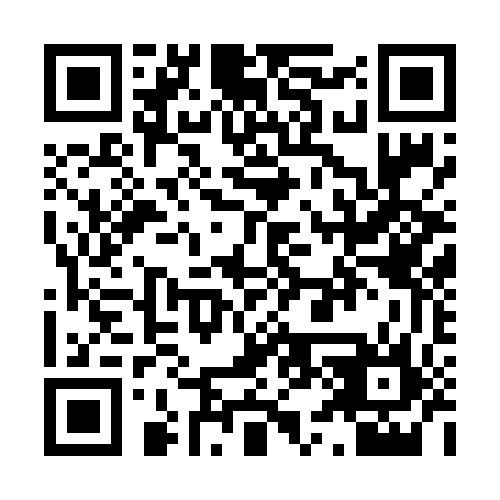QR code for X53656