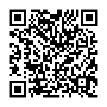 QR code for X53804