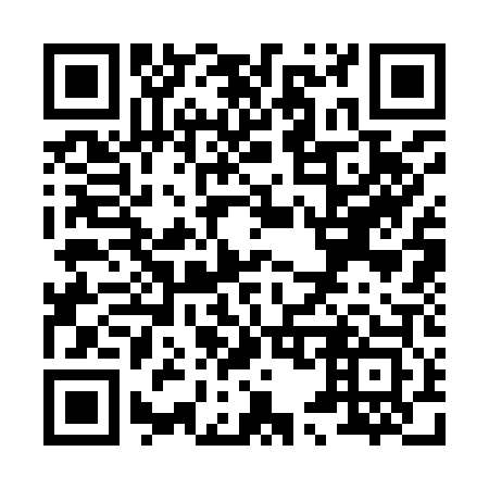 QR code for X53903