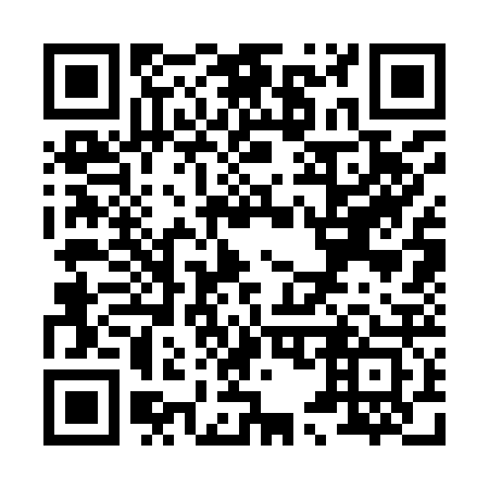 QR code for X53923