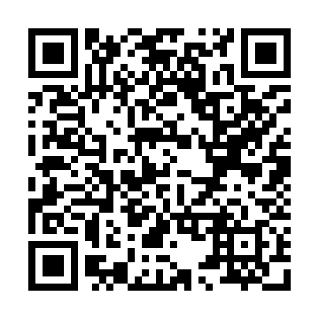 QR code for X53938