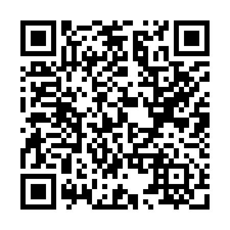 QR code for X53952