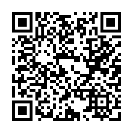 QR code for X54119