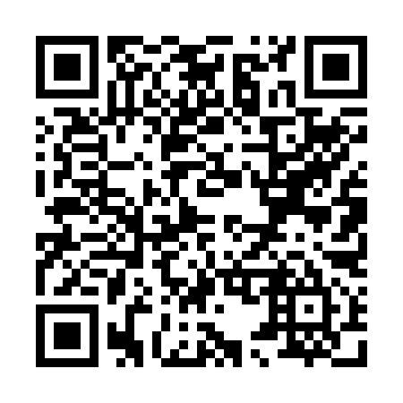 QR code for X54295