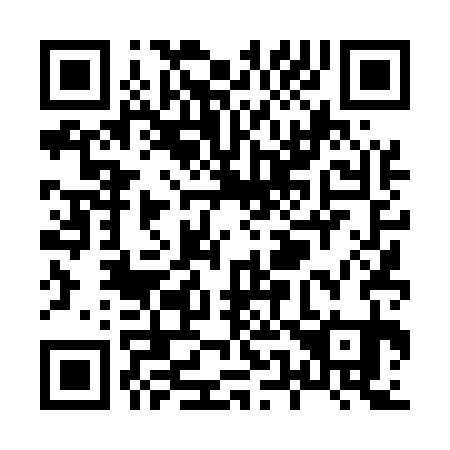 QR code for X54531