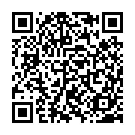QR code for X55260