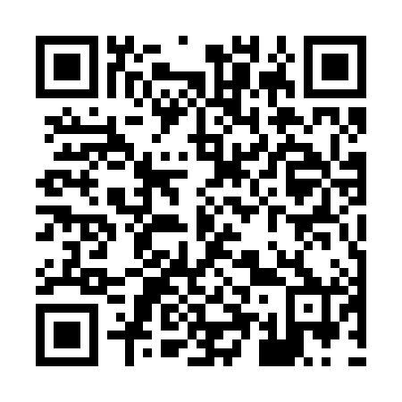 QR code for X55280