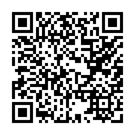 QR code for X55829