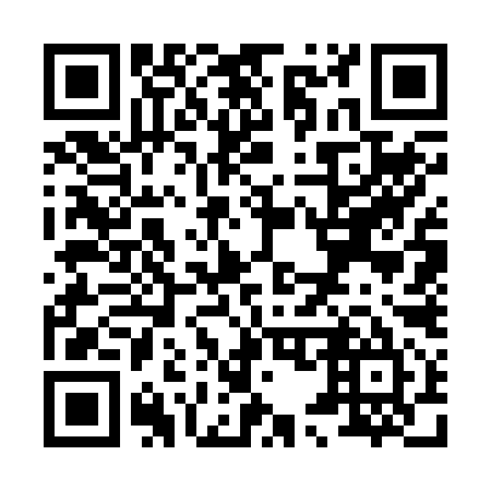 QR code for X57295