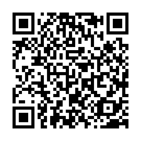 QR code for X58338