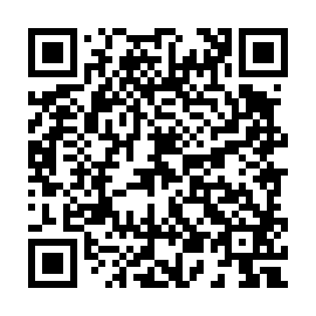QR code for X58482