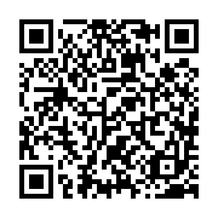 QR code for X58593