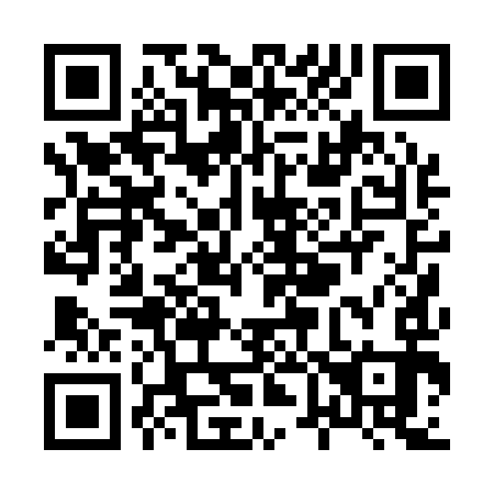 QR code for X60193