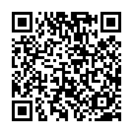 QR code for X60425