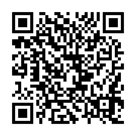 QR code for X60957