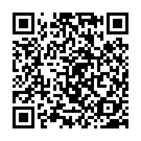 QR code for X61228