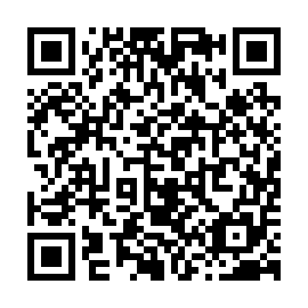 QR code for X61255