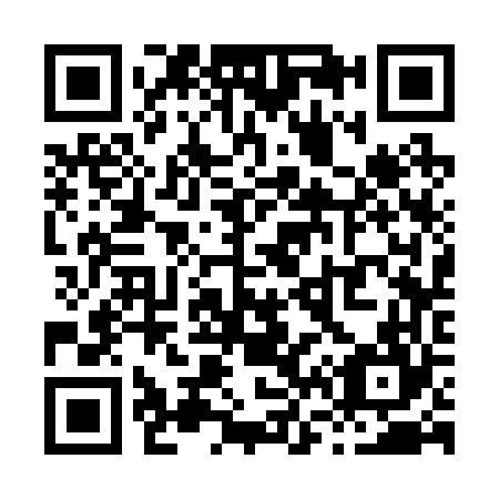 QR code for X63264