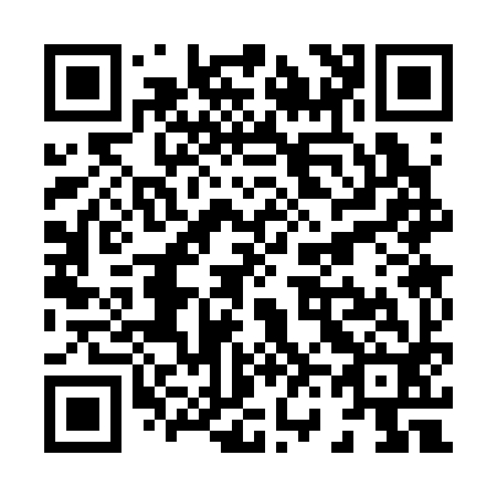 QR code for X63392
