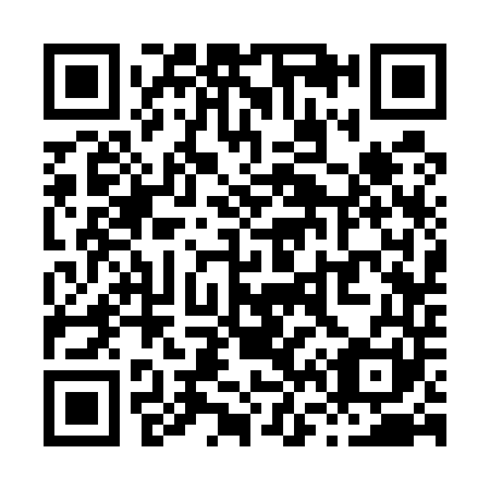 QR code for X63541