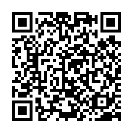 QR code for X63631