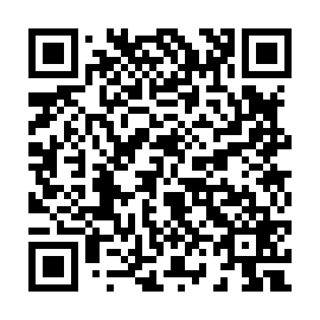QR code for X63869