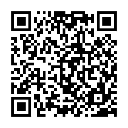 QR code for X65036