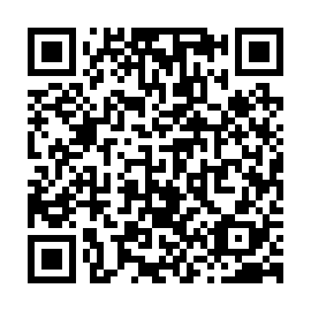 QR code for X65228