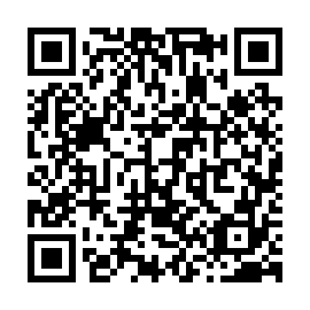QR code for X66272