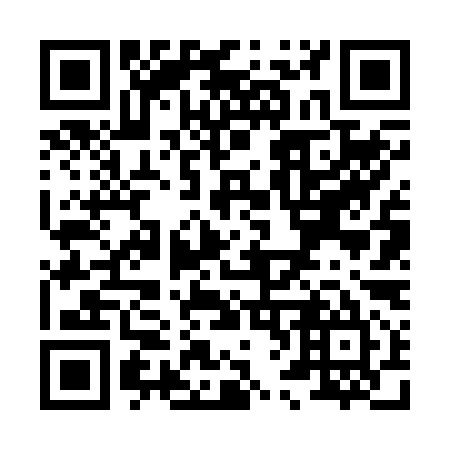 QR code for X66295