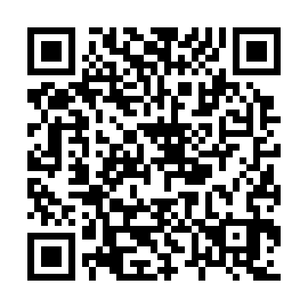 QR code for X66333