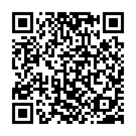 QR code for X66399