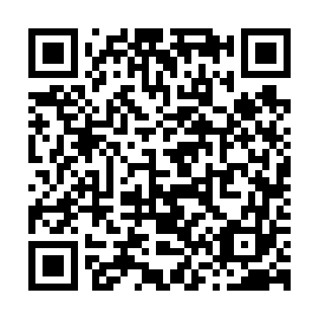 QR code for X66663