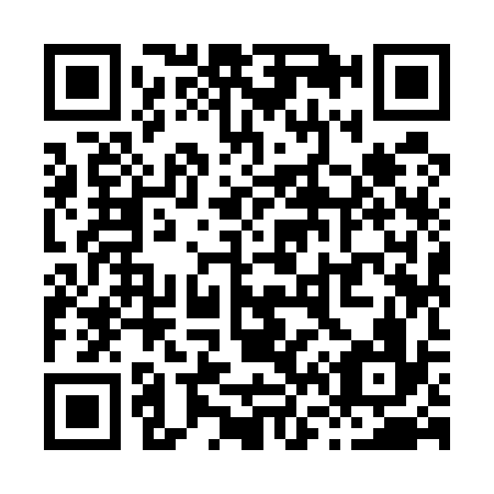 QR code for X69536