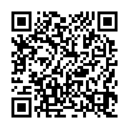 QR code for X70333