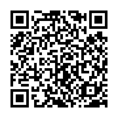 QR code for X79631