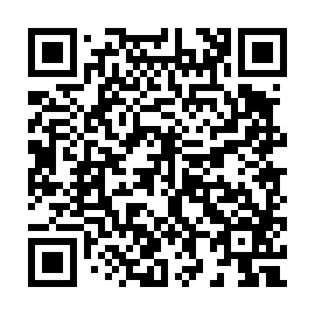 QR code for X80486