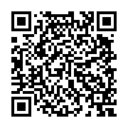 QR code for X80493
