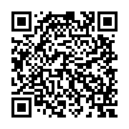 QR code for X80585