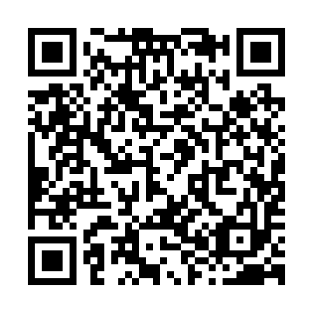 QR code for X81293