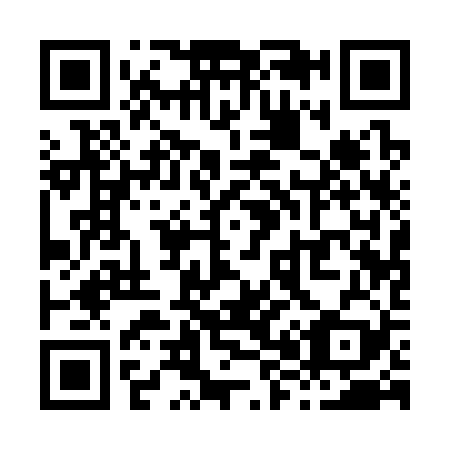 QR code for X81329