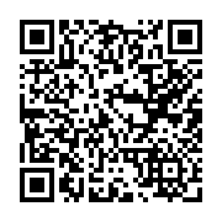 QR code for X81336