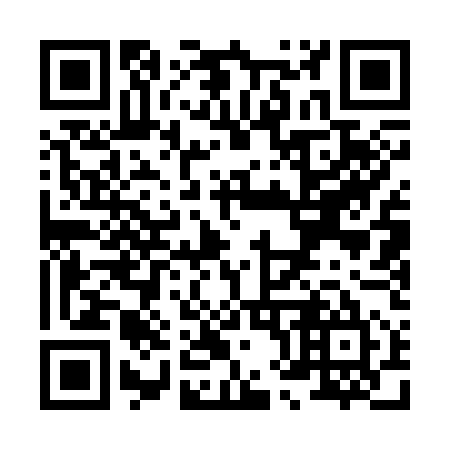QR code for X81355