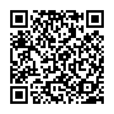 QR code for X81419