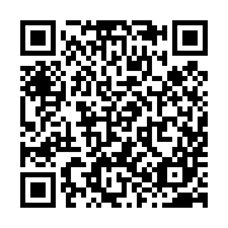 QR code for X81487
