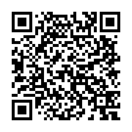 QR code for X81539