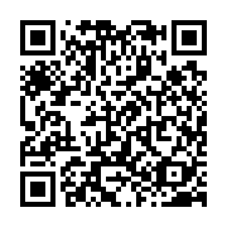 QR code for X81729