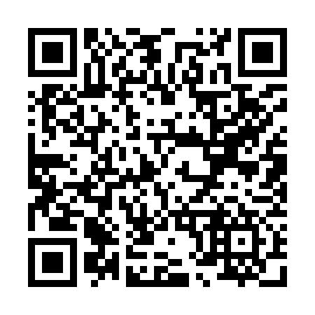 QR code for X81977