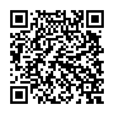 QR code for X84463